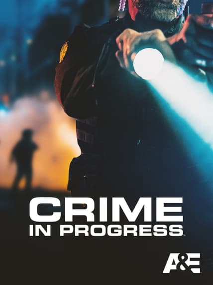Crime in Progress